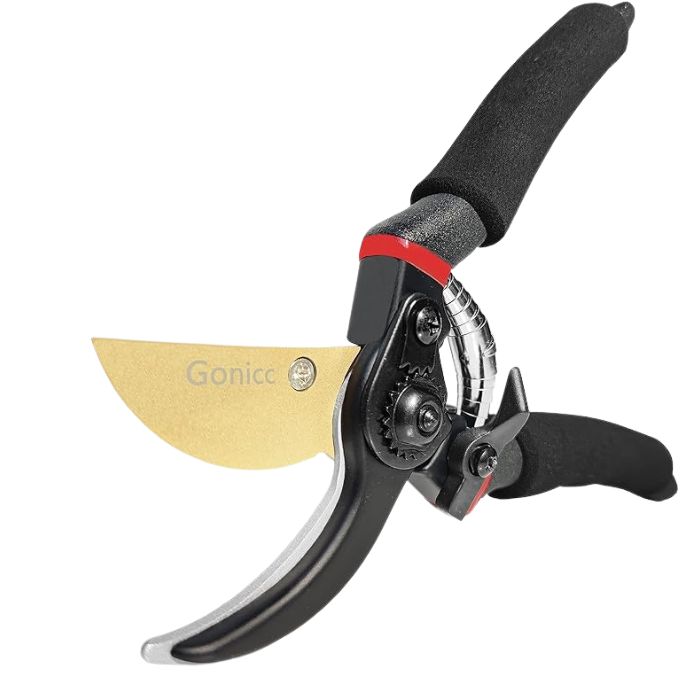 Professional Premium Titanium Bypass Pruning Shears